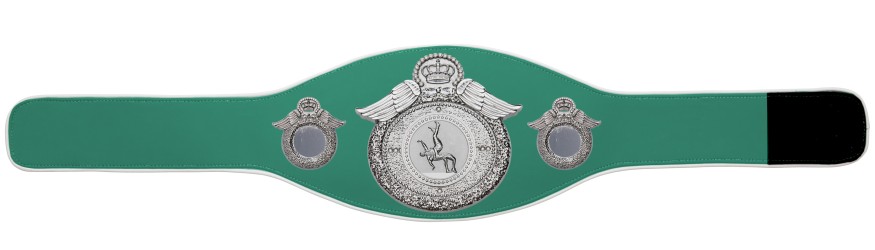 WRESTLING CHAMPIONSHIP BELT-PROWING/S/WRESTS-6+ COLOURS WRESTLING CHAMPIONSHIP BELT-PROWING/S/WRESTS-6+ COLOURS
